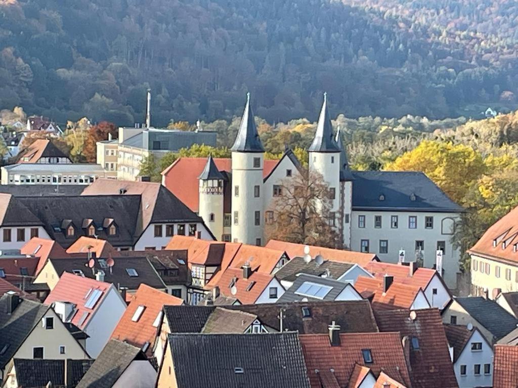 Apartmán Wohnen Im Springerhof Lohr Exteriér fotografie