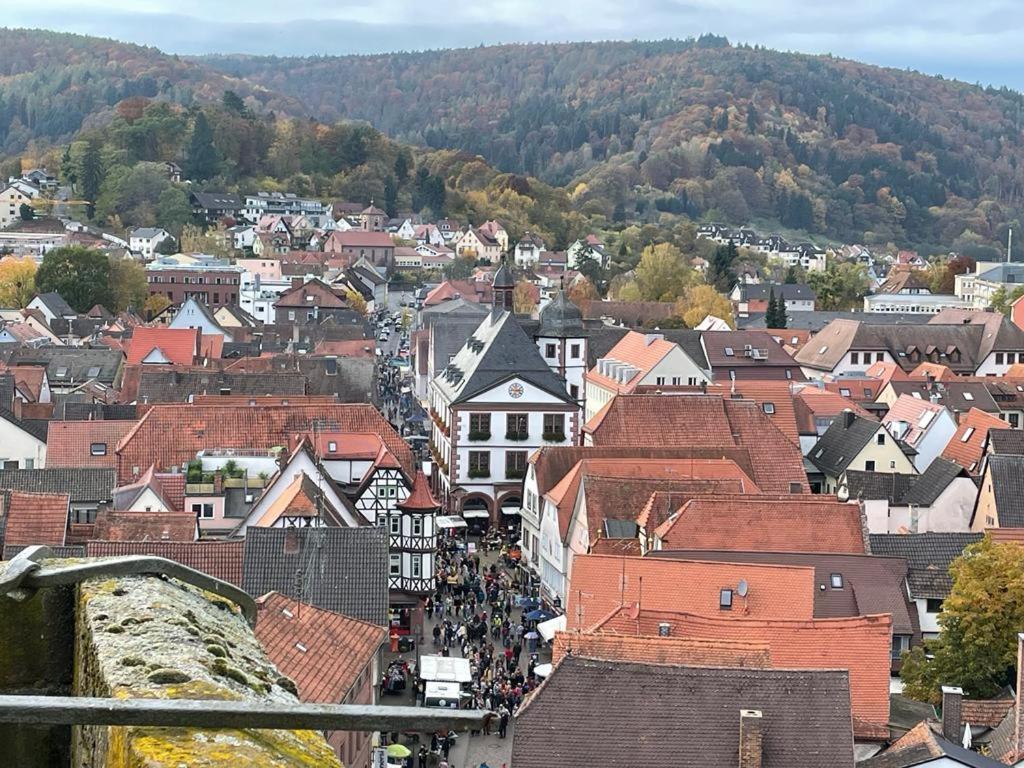 Apartmán Wohnen Im Springerhof Lohr Exteriér fotografie